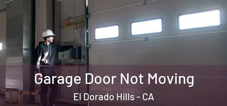  Garage Door Not Moving El Dorado Hills - CA